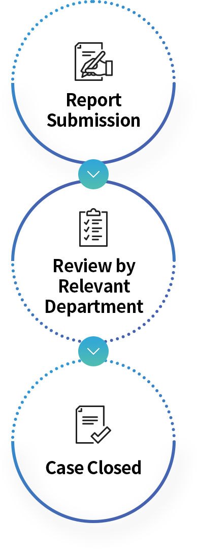 Report Submission - Review by Relevant Department - Case Closed